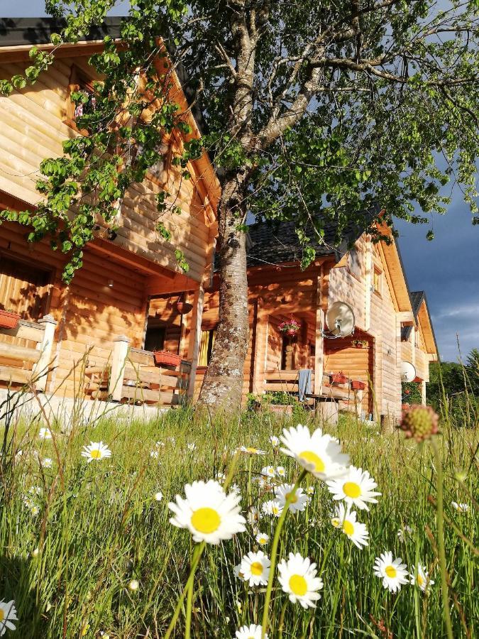 Sunny Hill Cabins Kolaşin Dış mekan fotoğraf